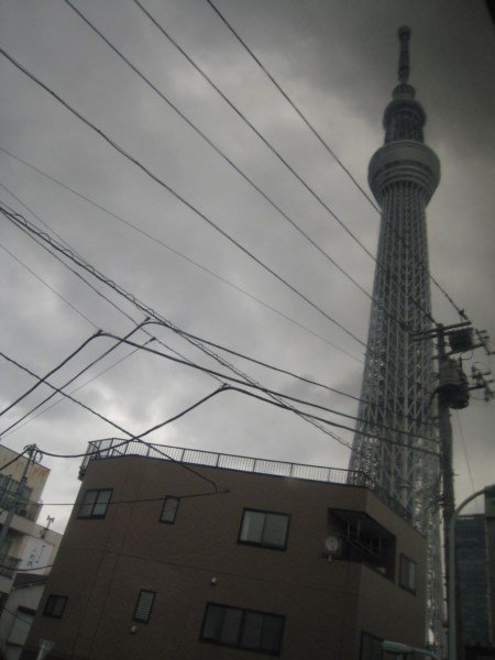 2014 Tokyo (2168) (复制)
